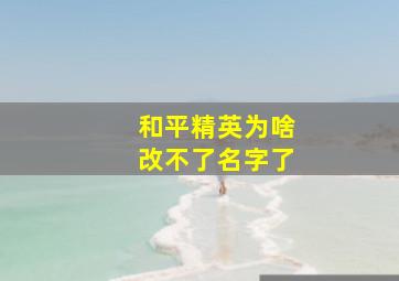 和平精英为啥改不了名字了