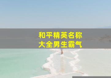 和平精英名称大全男生霸气