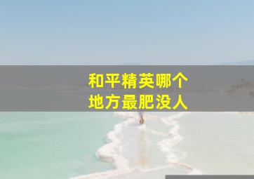 和平精英哪个地方最肥没人