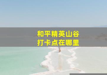 和平精英山谷打卡点在哪里