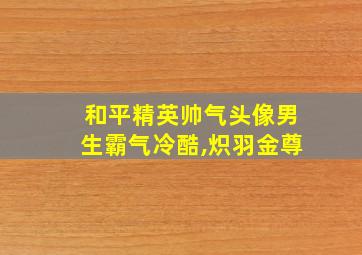 和平精英帅气头像男生霸气冷酷,炽羽金尊