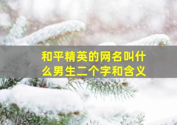 和平精英的网名叫什么男生二个字和含义