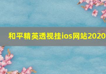 和平精英透视挂ios网站2020