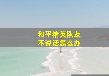 和平精英队友不说话怎么办