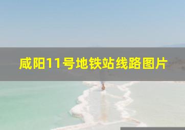 咸阳11号地铁站线路图片