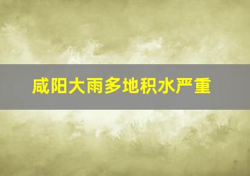 咸阳大雨多地积水严重