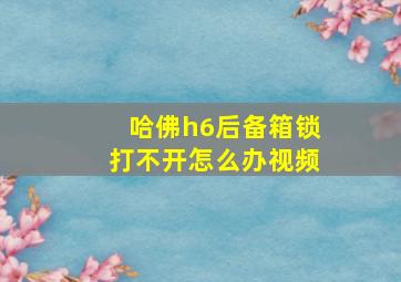 哈佛h6后备箱锁打不开怎么办视频