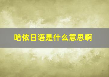 哈依日语是什么意思啊