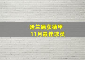 哈兰德获德甲11月最佳球员