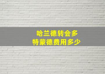 哈兰德转会多特蒙德费用多少