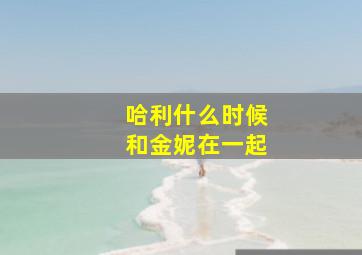 哈利什么时候和金妮在一起