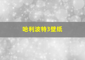 哈利波特3壁纸