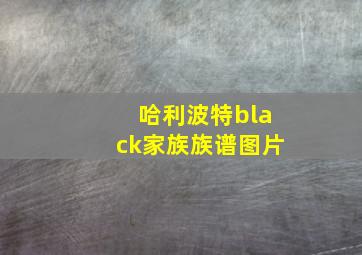 哈利波特black家族族谱图片