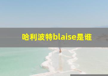 哈利波特blaise是谁