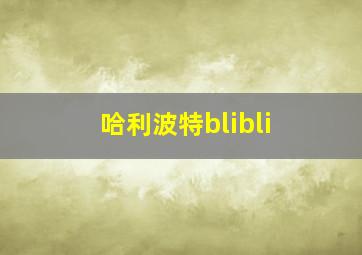 哈利波特blibli