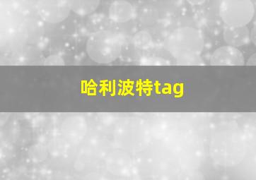 哈利波特tag