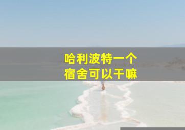 哈利波特一个宿舍可以干嘛