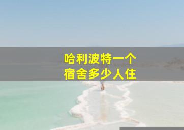 哈利波特一个宿舍多少人住