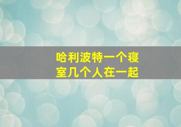 哈利波特一个寝室几个人在一起