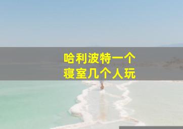 哈利波特一个寝室几个人玩