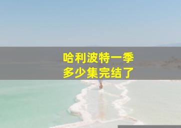 哈利波特一季多少集完结了