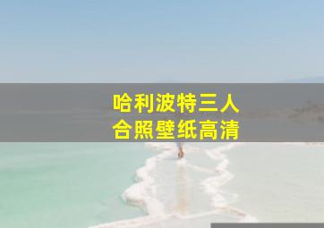 哈利波特三人合照壁纸高清