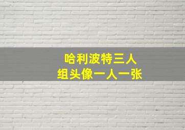 哈利波特三人组头像一人一张