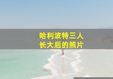 哈利波特三人长大后的照片