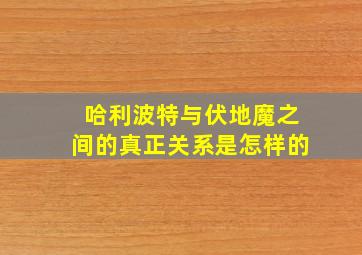 哈利波特与伏地魔之间的真正关系是怎样的