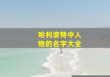 哈利波特中人物的名字大全