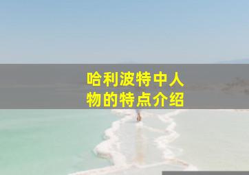 哈利波特中人物的特点介绍