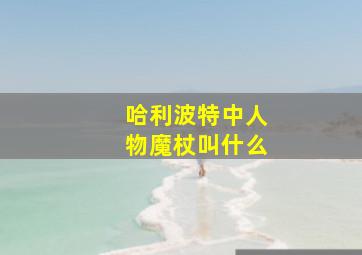 哈利波特中人物魔杖叫什么