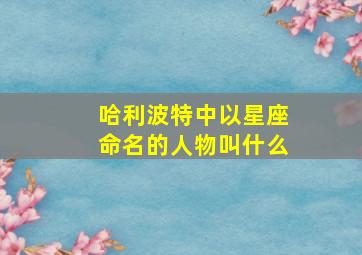 哈利波特中以星座命名的人物叫什么