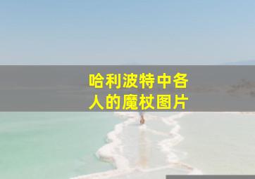 哈利波特中各人的魔杖图片