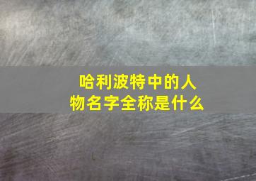 哈利波特中的人物名字全称是什么