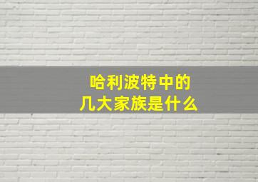 哈利波特中的几大家族是什么