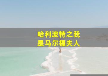 哈利波特之我是马尔福夫人