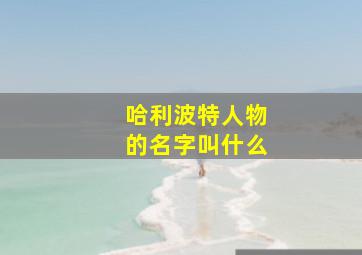 哈利波特人物的名字叫什么