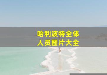 哈利波特全体人员图片大全