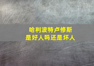 哈利波特卢修斯是好人吗还是坏人