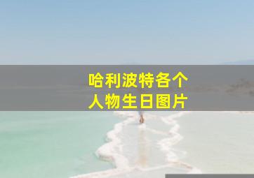 哈利波特各个人物生日图片