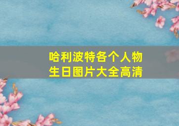 哈利波特各个人物生日图片大全高清