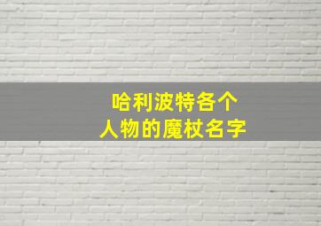 哈利波特各个人物的魔杖名字