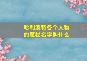 哈利波特各个人物的魔杖名字叫什么