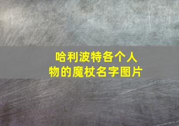 哈利波特各个人物的魔杖名字图片