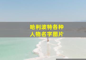 哈利波特各种人物名字图片