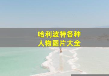 哈利波特各种人物图片大全