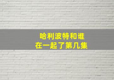 哈利波特和谁在一起了第几集