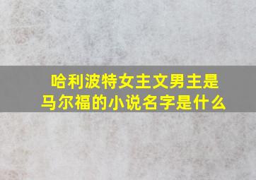 哈利波特女主文男主是马尔福的小说名字是什么