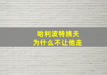 哈利波特姨夫为什么不让他走